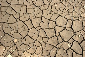 dry_ground_rgbstock_small_6