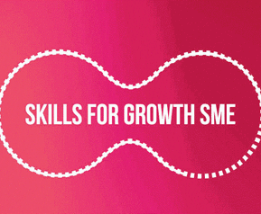 Skills for Growth – SME Support