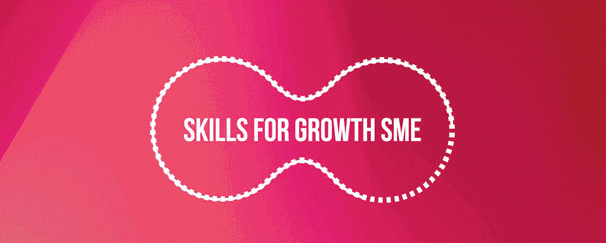 Skills for Growth – SME Support