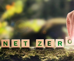 Supporting SMEs on their Journey to Net Zero